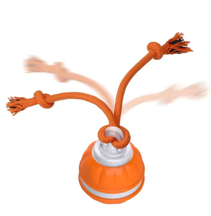 Interactive Rolling Dog Ball