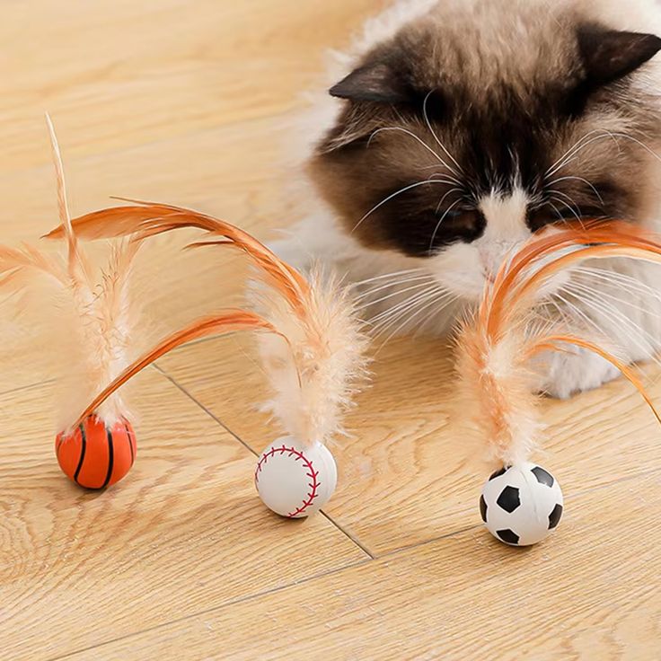 Cat Toy Feather Ball