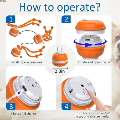 Interactive Rolling Dog Ball