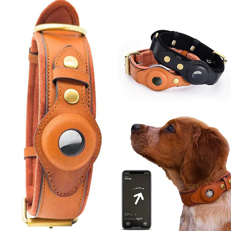 Leather Anti Lost Dog Collar