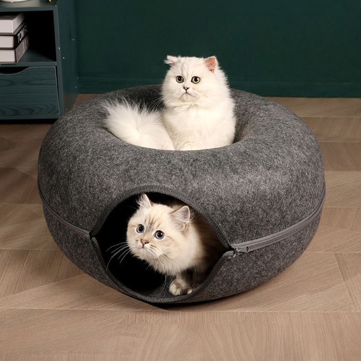 Cat Donut Bed