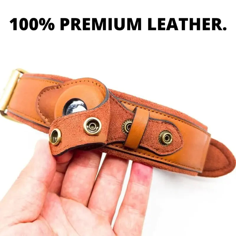 Leather Anti Lost Dog Collar